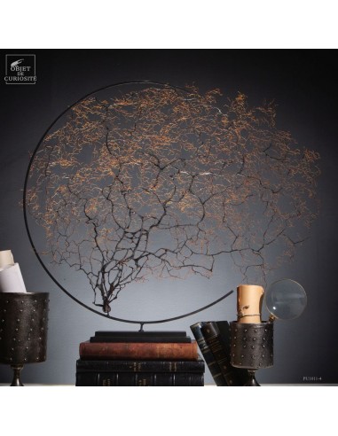 Gorgone noire à épines dans un cercle...