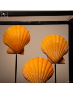 Collection of orange... 2