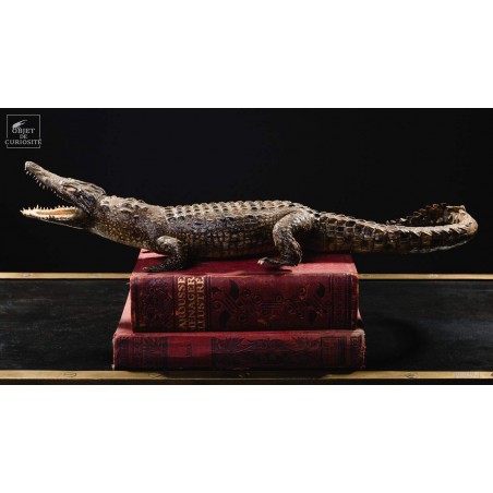 Stuffed crocodile 60cm