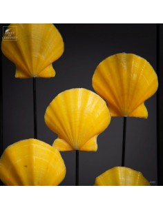 Collection of yellow... 2