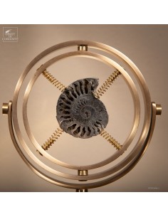 Ammonite with pyritel,... 2