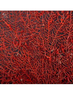 Bright red sea fan... 2
