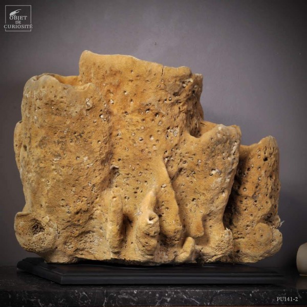 Eponge tonneau multiple GM  sur socle rect. plat