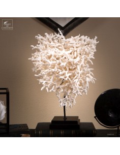Corail pics nids...
