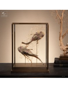 Poissons-crapauds...