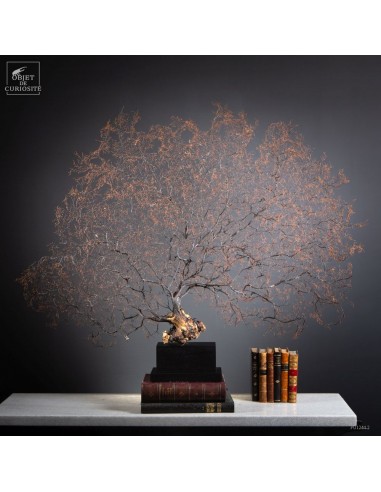 Black sea fan (gorgonian with spines)