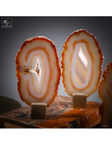 Serie of 7 golden Agate slices on...