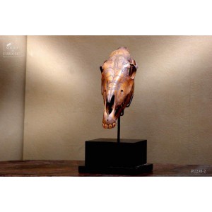 Cavred horse head