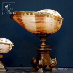 Giant melo shell on large brass stand