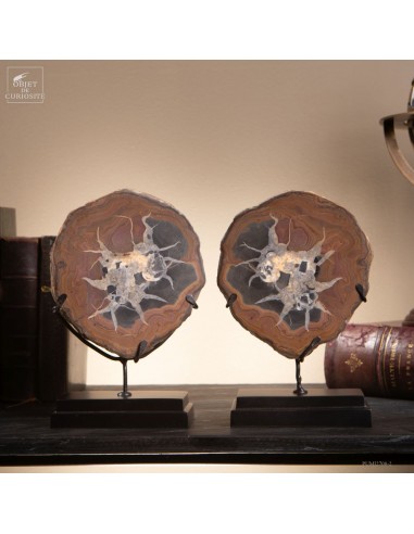 SEPTARIA GEODE (Morocco), cut in two
