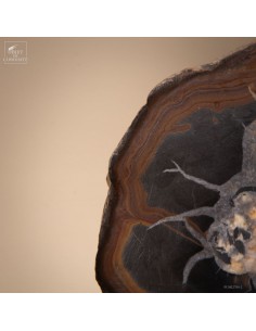 SEPTARIA GEODE (Morocco),... 2