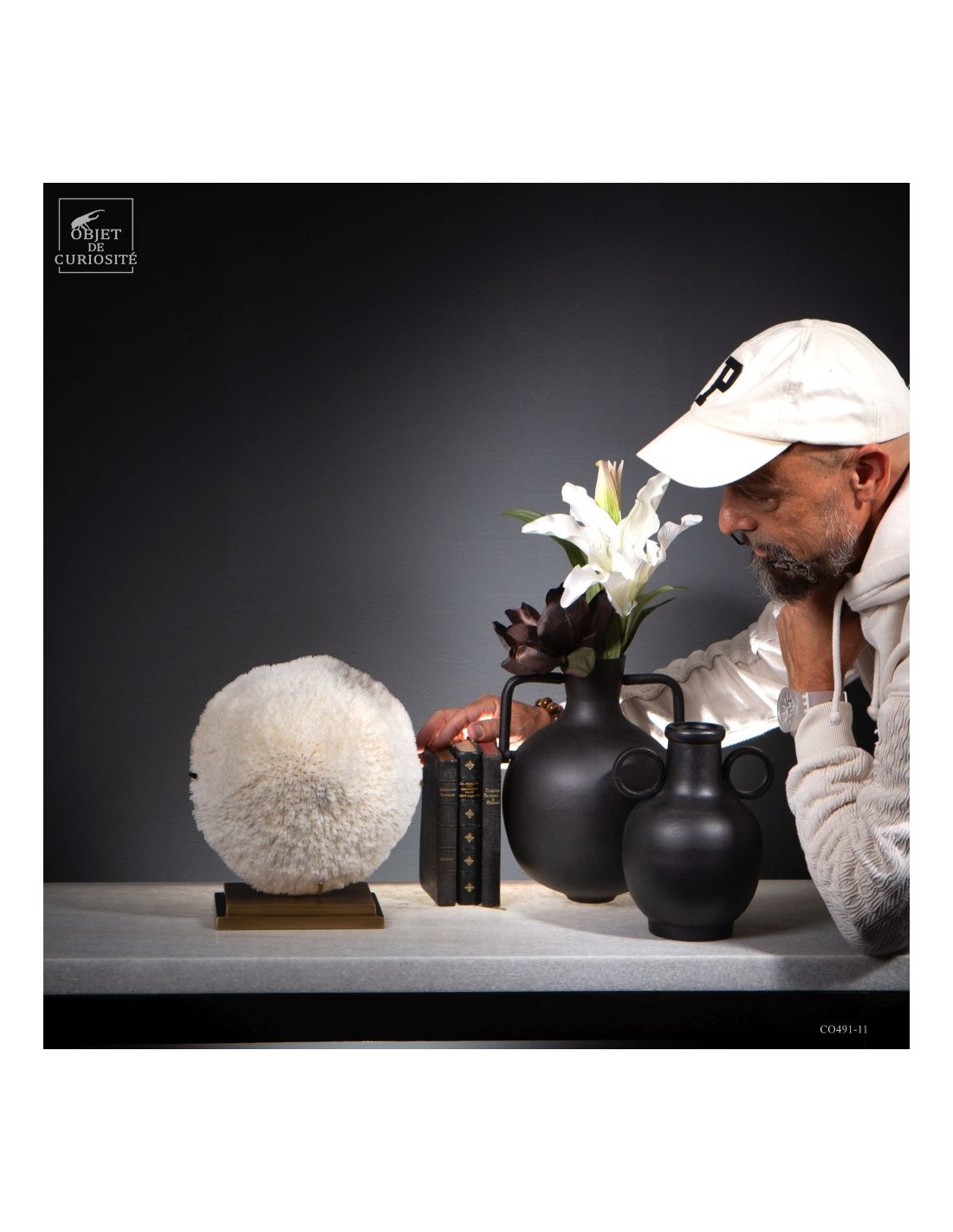 Corail blanc HALOMITRA PILEUS Corail blanc HALOMITRA PILEUS