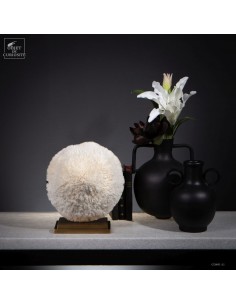 Corail blanc HALOMITRA PILEUS 2