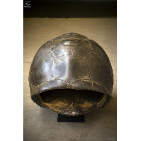 Tortue Géante d'Aldabra SOCLE MURAL