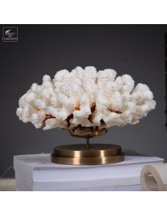 White coral-POCILLOPORA...
