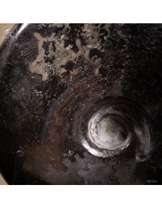 Ferruginized Ammonite in... 2