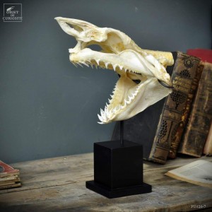 Mako skull on square stand 2
