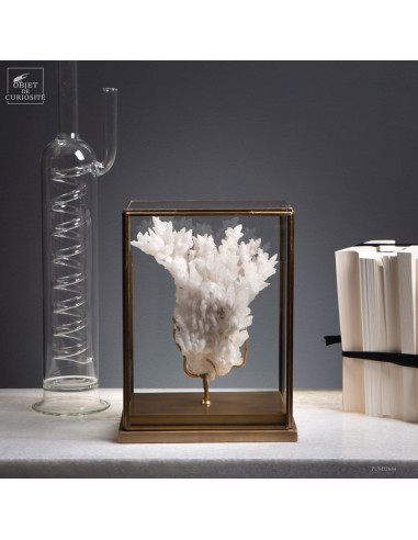 Cristaux d'Aragonite blanche du...