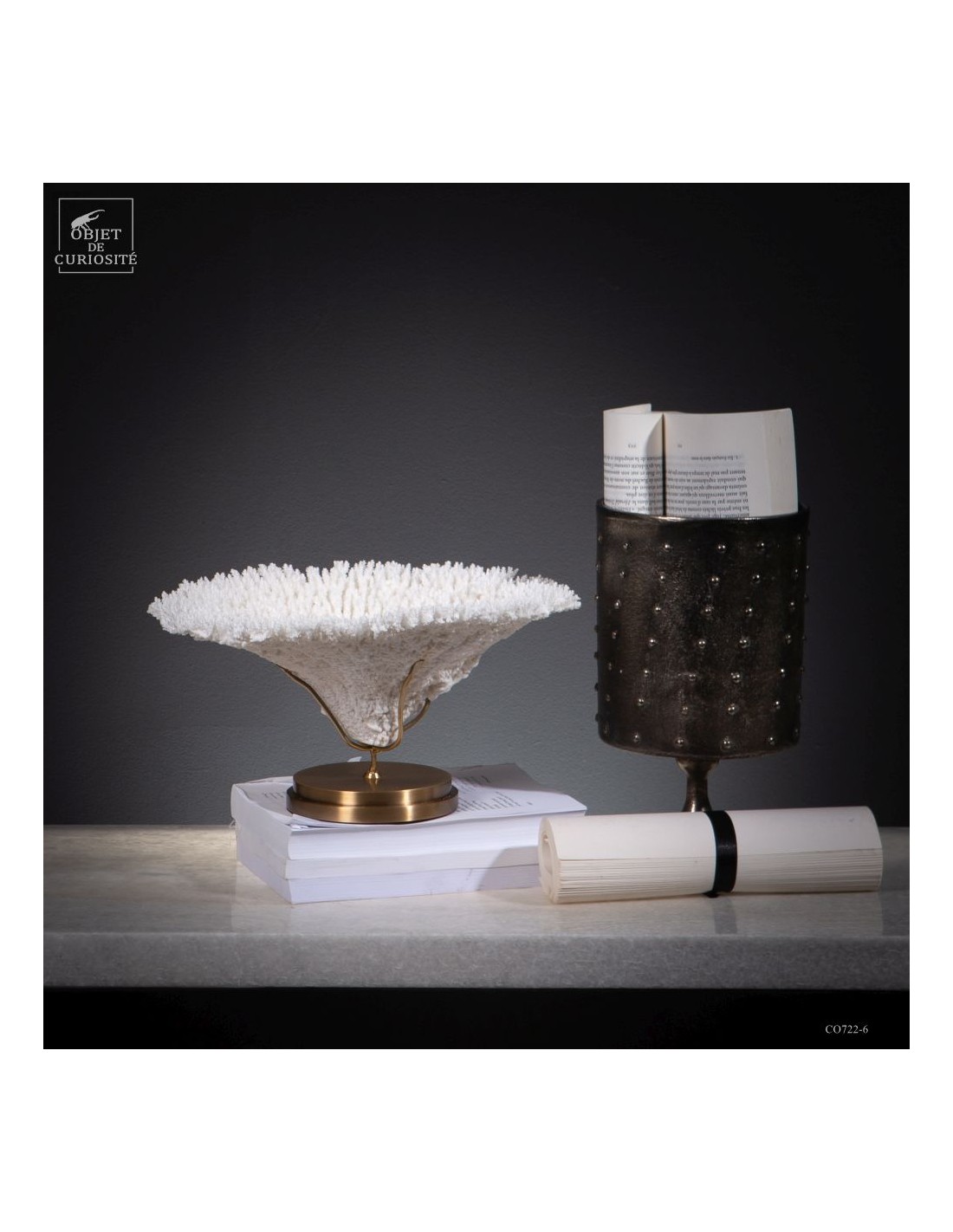 Corail blanc ACROPORA LATISTELLA Corail blanc ACROPORA LATISTELLA