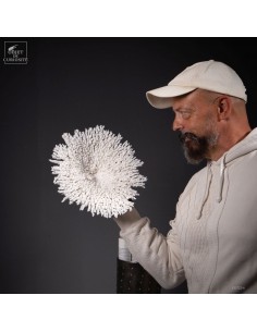 Corail blanc ACROPORA... 2