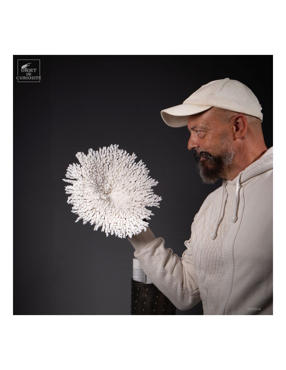 Corail blanc ACROPORA LATISTELLA Corail blanc ACROPORA LATISTELLA