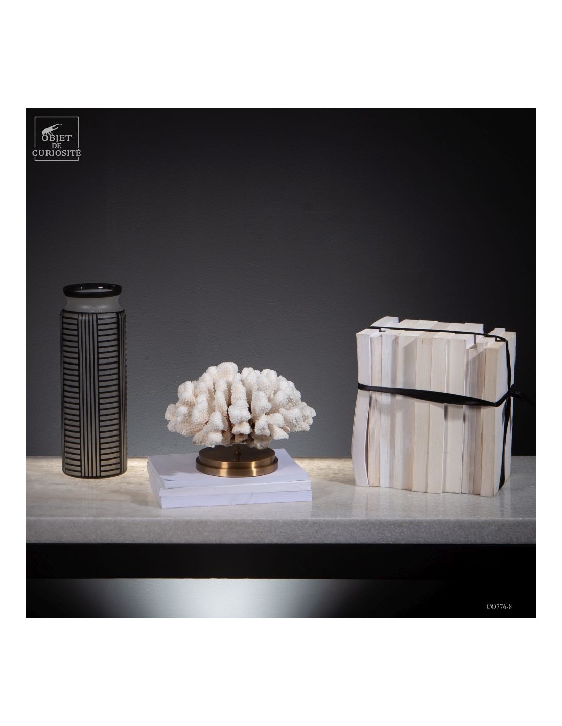 Corail choux fleur -POCILLOPORA... Corail choux fleur -POCILLOPORA...