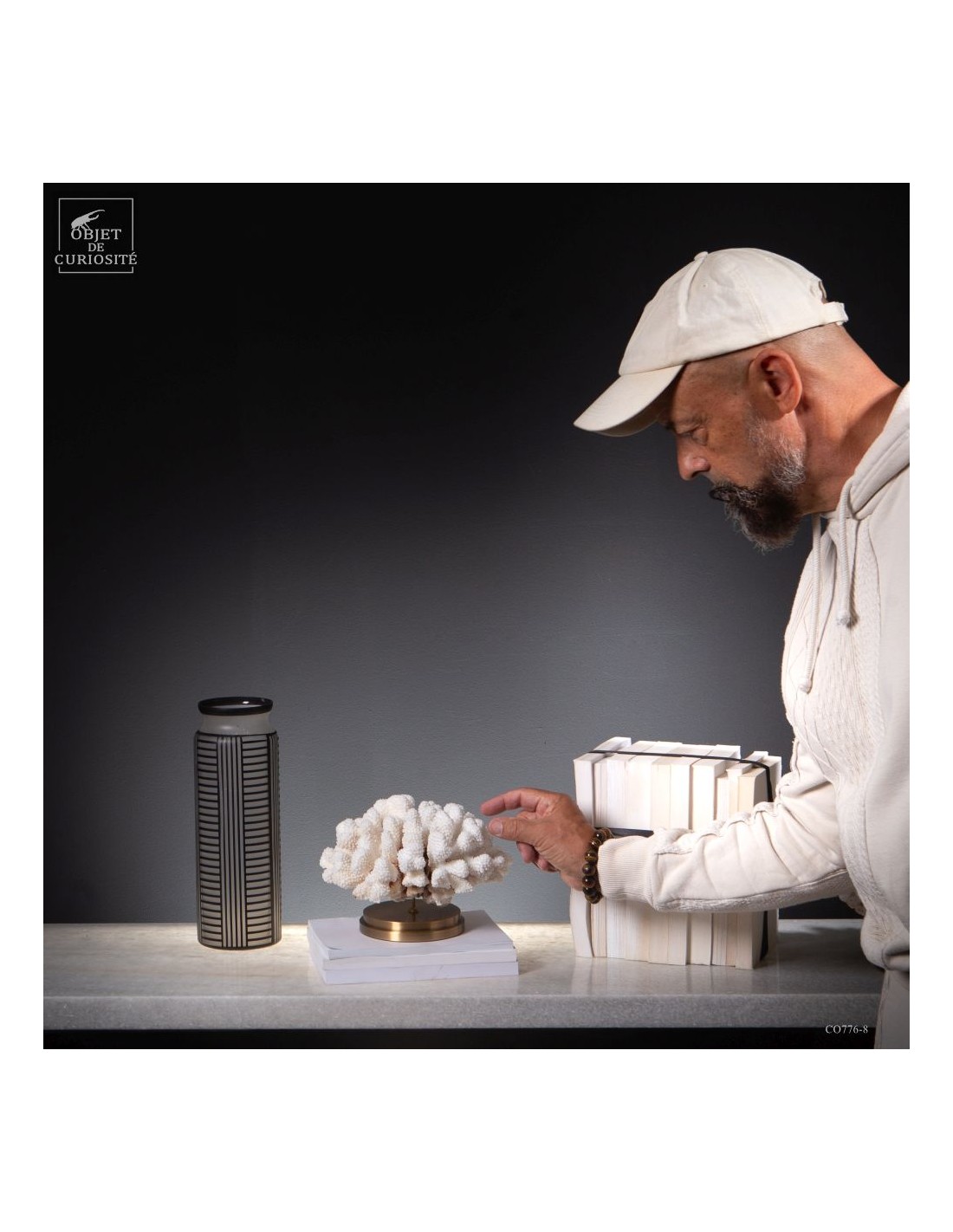 Corail choux fleur -POCILLOPORA... Corail choux fleur -POCILLOPORA...