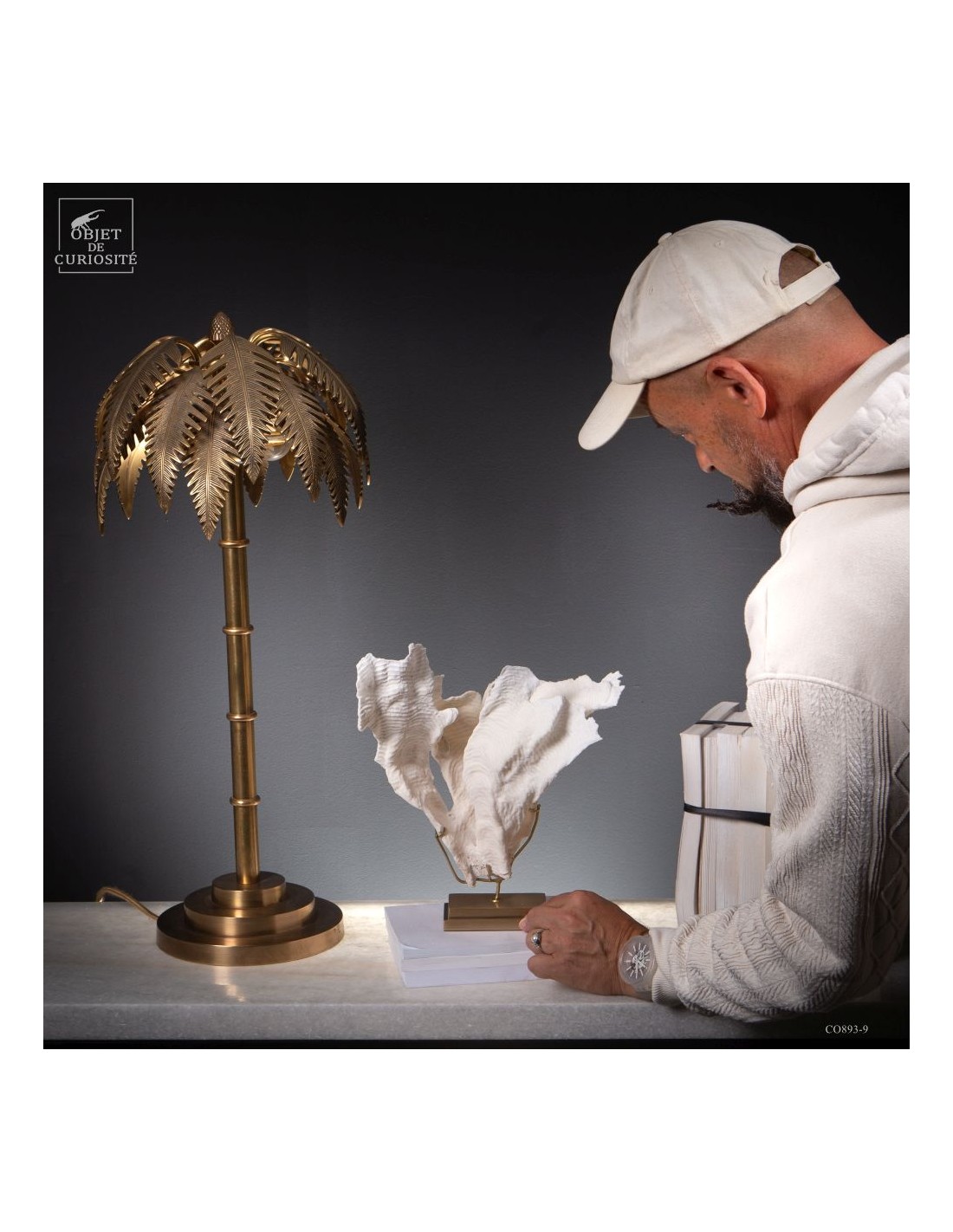 Corail blanc PACHYSERIS RUGOSA Corail blanc PACHYSERIS RUGOSA