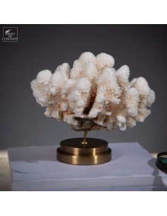 Corail choux fleur... 2