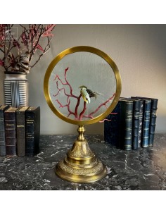 Branche de corail rouge et...