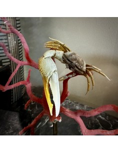 Branche de corail rouge et... 2