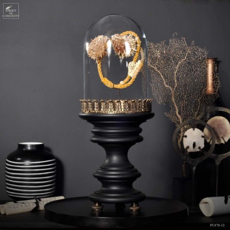 Déchet de la mer  : 2 spondyles sur corde sous globe