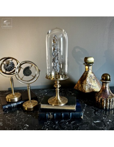 Fulgurite from the Mauritanian Desert