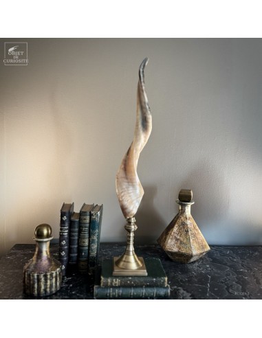 Polished Rove goat horn, brass base