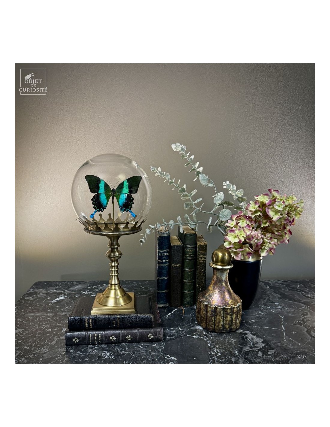 Papillon BLUMEI vert dans bulle Papillon BLUMEI vert dans bulle