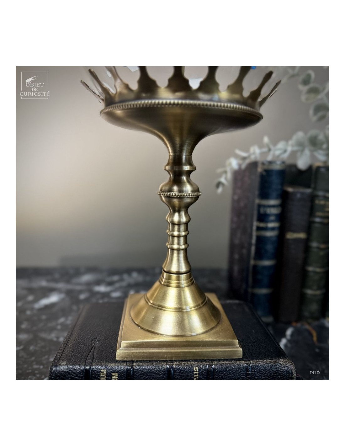 Papillon BLUMEI vert dans bulle Papillon BLUMEI vert dans bulle