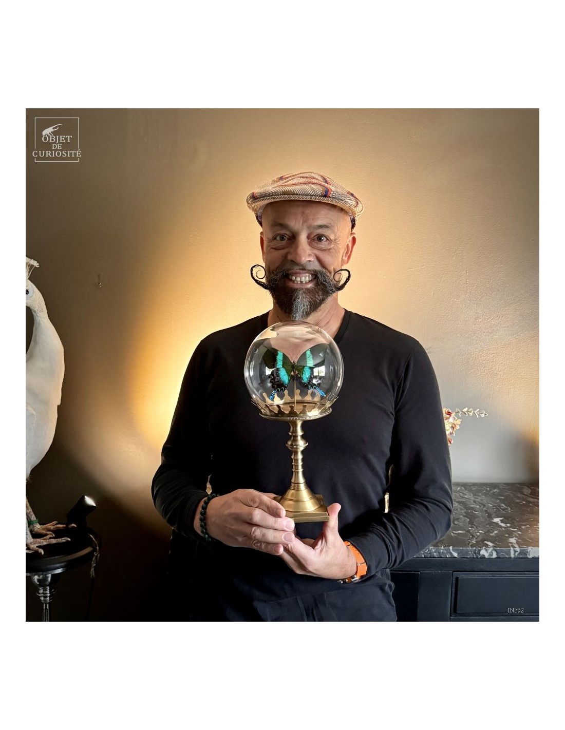 Papillon BLUMEI vert dans bulle Papillon BLUMEI vert dans bulle