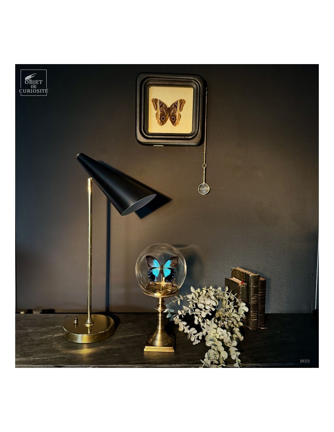 PAPILIO ULYSSES dans bulle  PAPILIO ULYSSES dans bulle