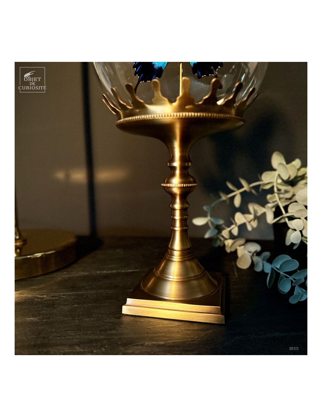 PAPILIO ULYSSES dans bulle  PAPILIO ULYSSES dans bulle