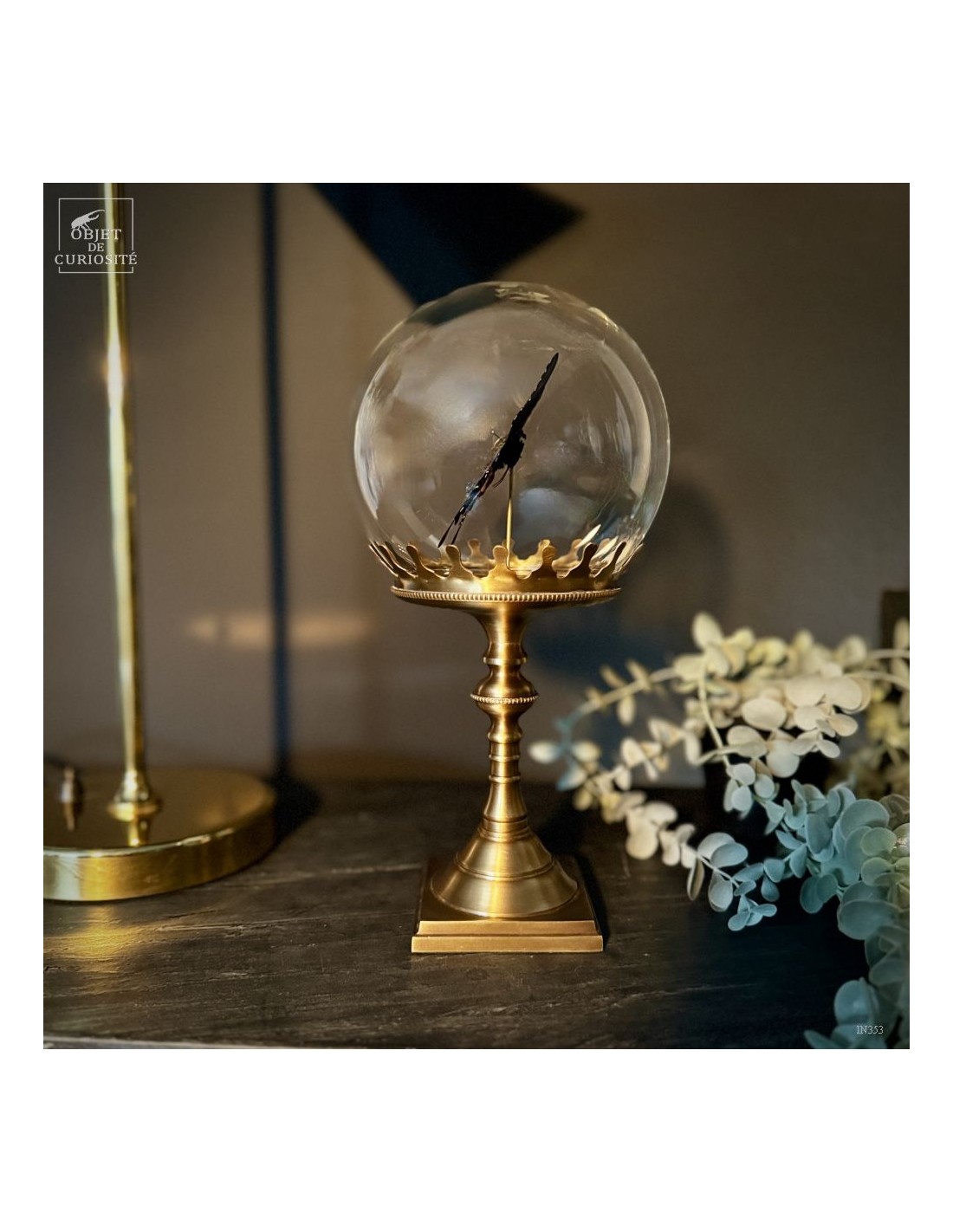 PAPILIO ULYSSES dans bulle  PAPILIO ULYSSES dans bulle