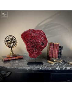 Corail rouge TUBIPORA MUSICA 2