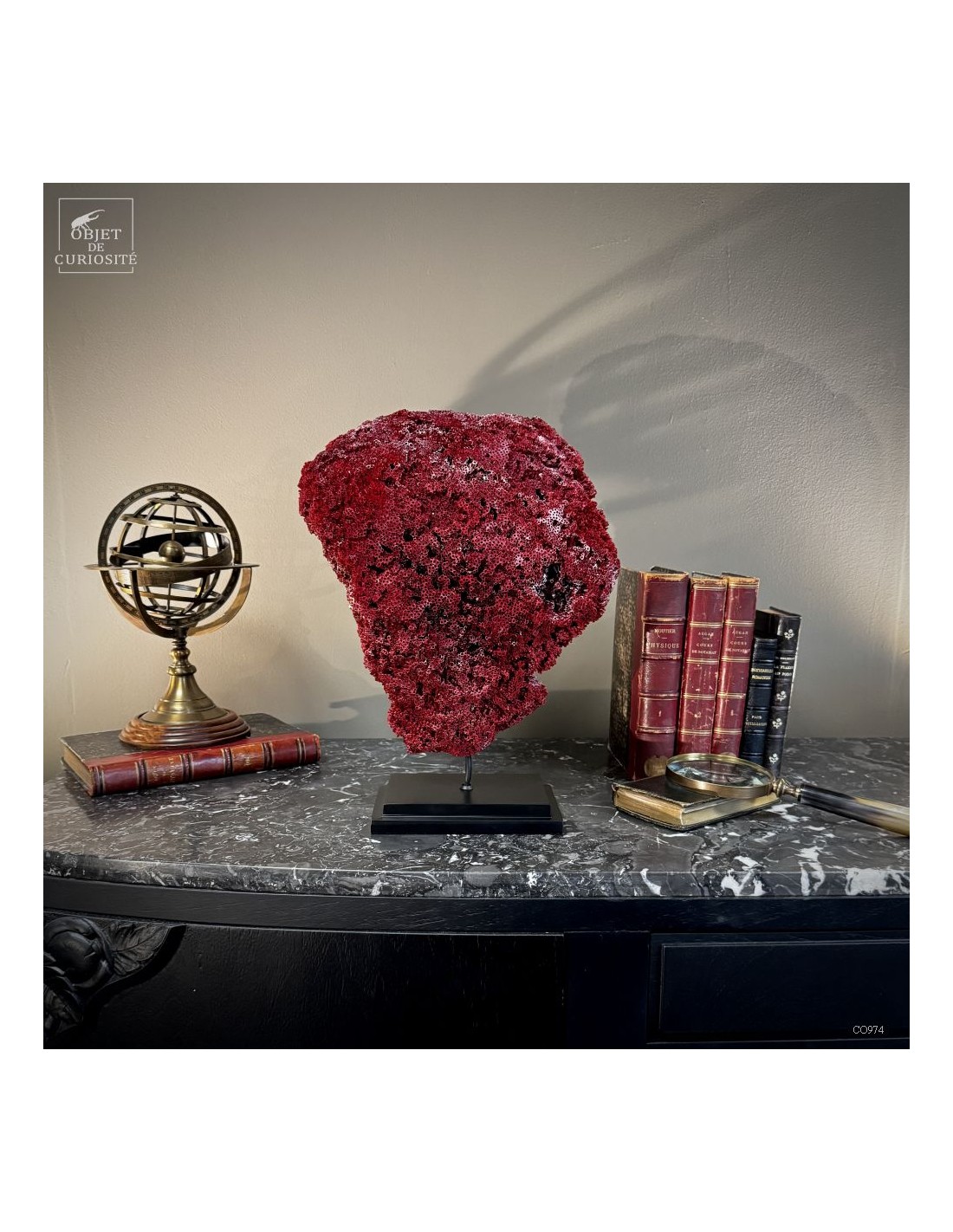 Corail rouge TUBIPORA MUSICA Corail rouge TUBIPORA MUSICA