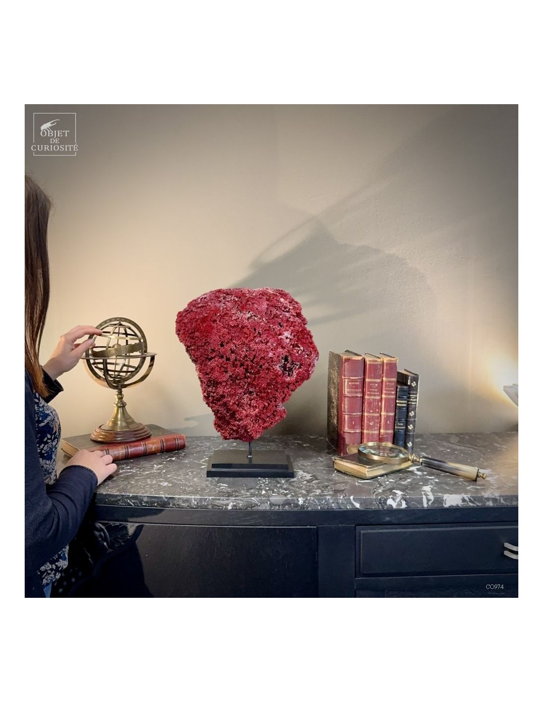 Corail rouge TUBIPORA MUSICA Corail rouge TUBIPORA MUSICA