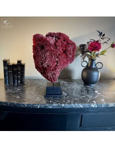 Corail rouge TUBIPORA MUSICA 2