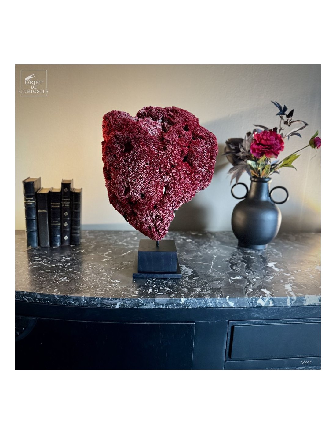 Corail rouge TUBIPORA MUSICA Corail rouge TUBIPORA MUSICA