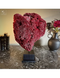 Corail rouge TUBIPORA MUSICA