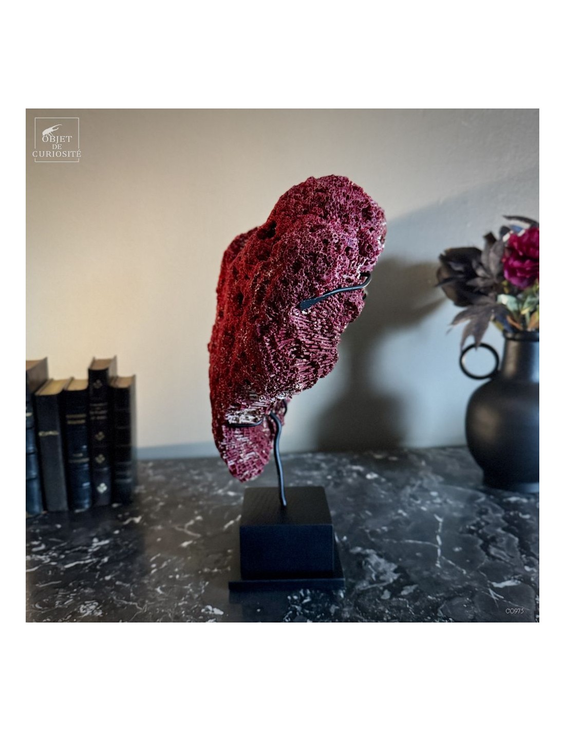 Corail rouge TUBIPORA MUSICA Corail rouge TUBIPORA MUSICA