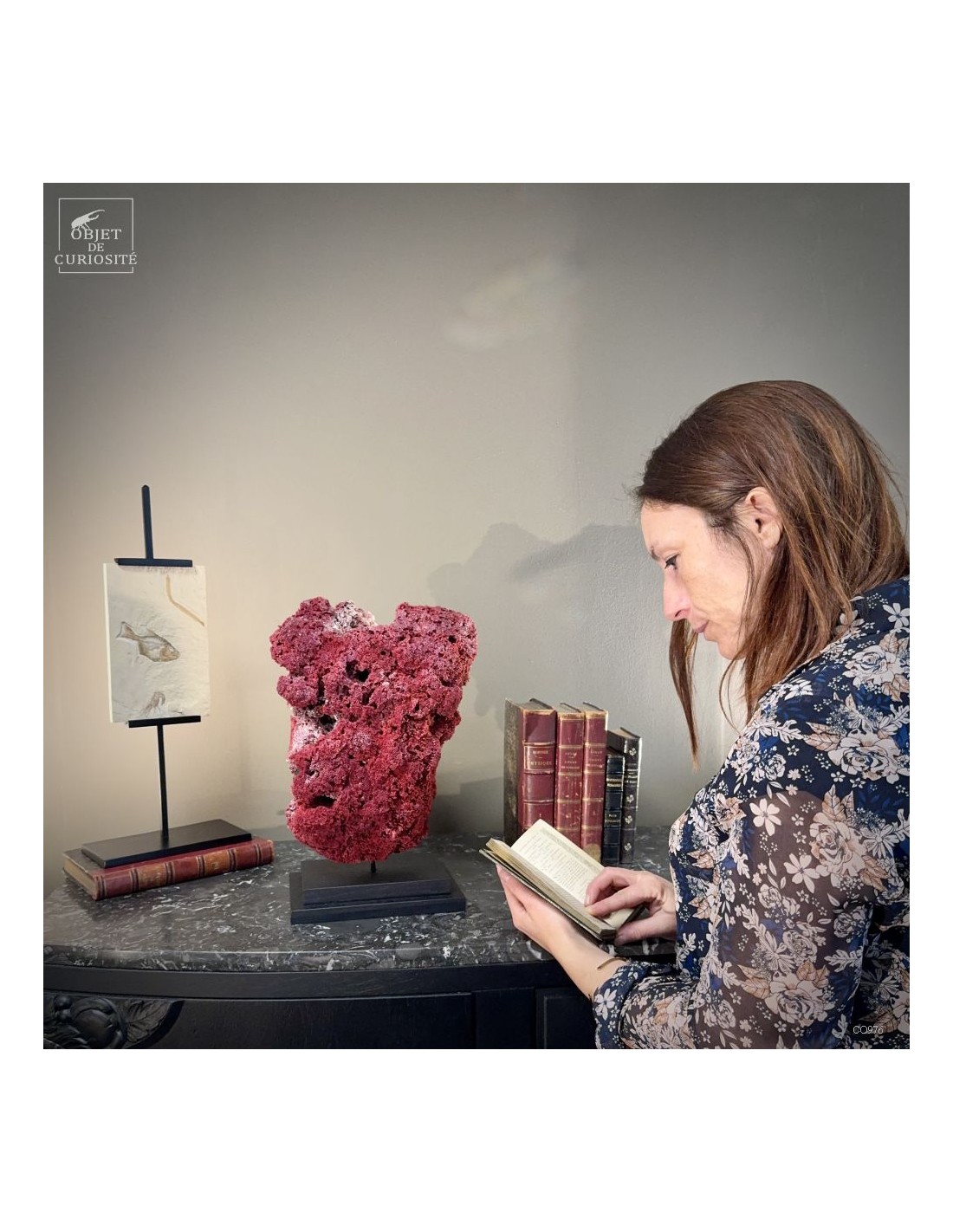 Corail rouge TUBIPORA MUSICA Corail rouge TUBIPORA MUSICA