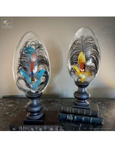 Feather hat compositions –... 2