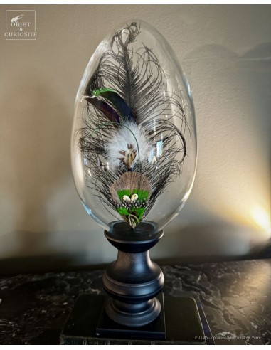 plumes à chapeau sous oeuf –... plumes à chapeau sous oeuf –...